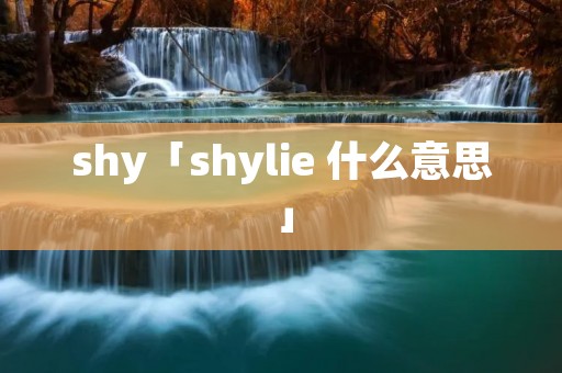 shy「shylie 什么意思」