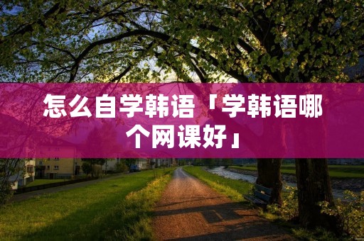 怎么自学韩语「学韩语哪个网课好」