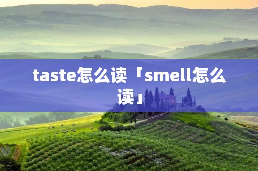 taste怎么读「**ell怎么读」