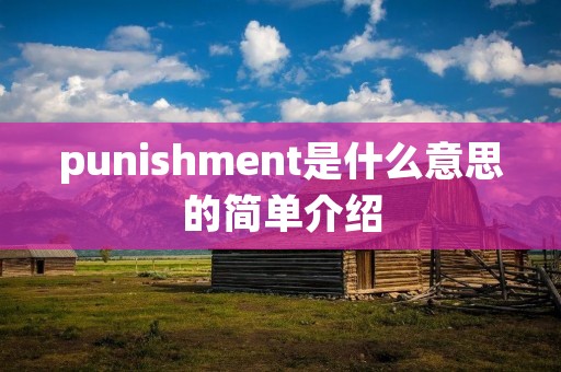 punishment是什么意思的简单介绍 punishment是什么意思的简单介绍