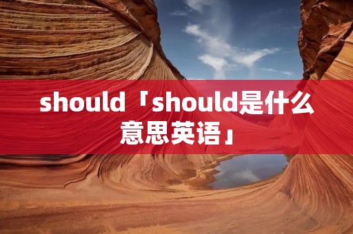 should「should是什么意思英语」