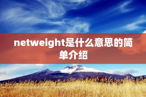 netweight是什么意思的简单介绍