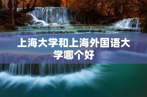上海大学和上海外国语大学哪个好