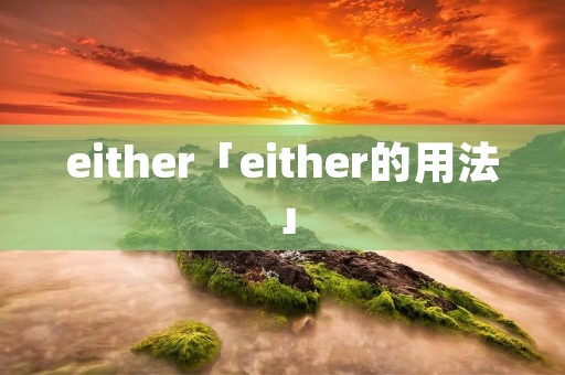 either「either的用法」