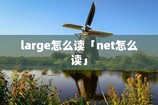 large怎么读「net怎么读」