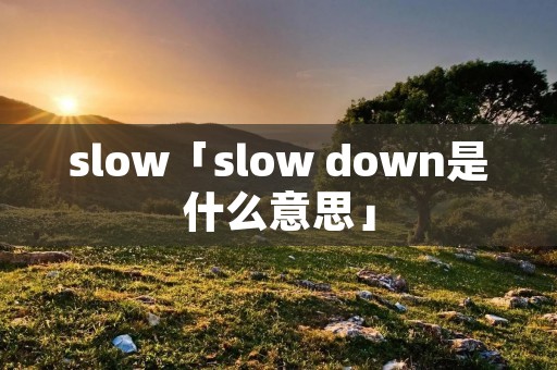 slow「slow down是什么意思」