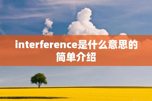 interference是什么意思的简单介绍