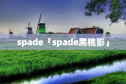 spade「spade黑桃影」