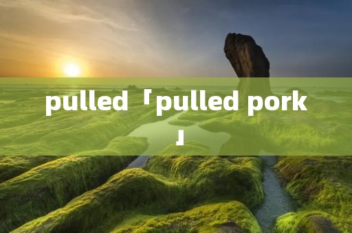 pulled「pulled pork」