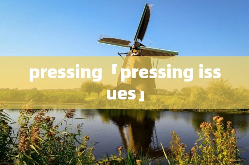 pressing「pressing issues」