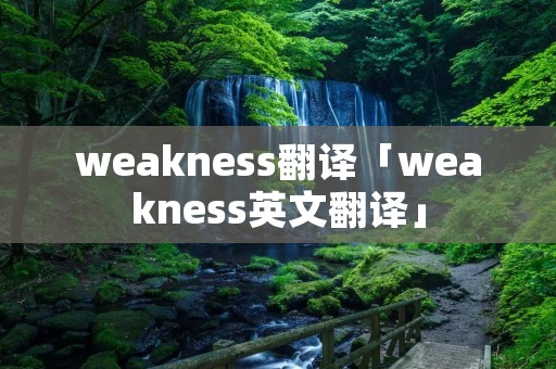 weakness翻译「weakness英文翻译」