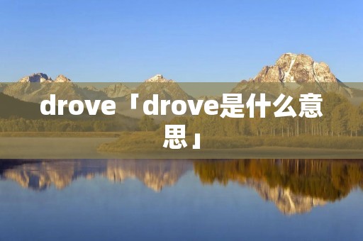 drove「drove是什么意思」