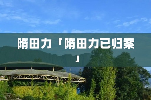 隋田力「隋田力已归案」