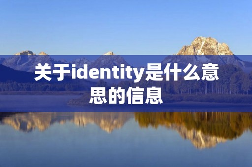 关于identity是什么意思的信息