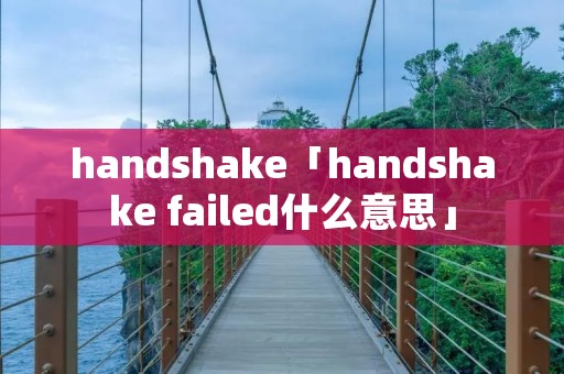 handshake「handshake failed什么意思」