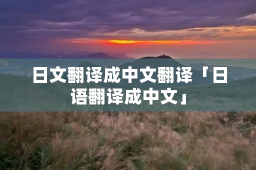 日文翻译成中文翻译「日语翻译成中文」 日文翻译成中文翻译「日语翻译成中文」