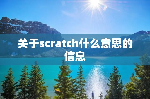 关于scratch什么意思的信息 关于scratch什么意思的信息