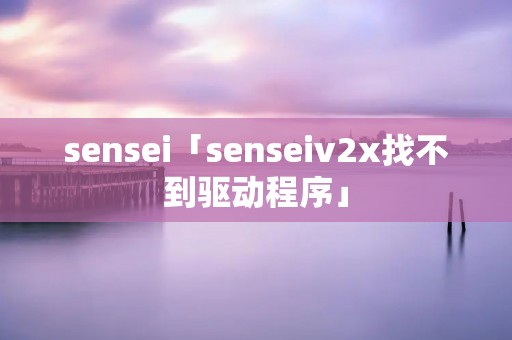 sensei「senseiv2x找不到驱动程序」 sensei「senseiv2x找不到驱动程序」