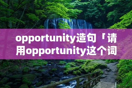 opportunity造句「请用opportunity这个词来造句」