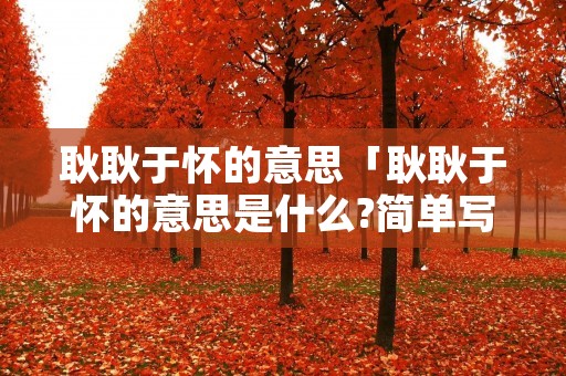 耿耿于怀的意思「耿耿于怀的意思是什么?简单写」