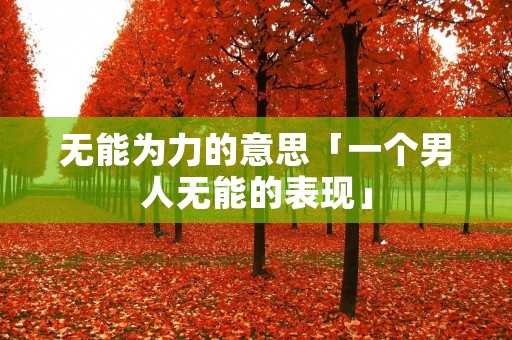 无能为力的意思「一个男人无能的表现」