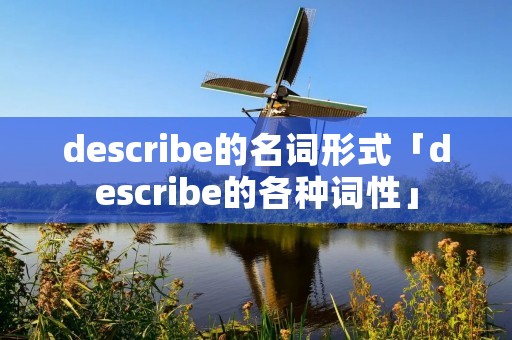 describe的名词形式「describe的各种词性」