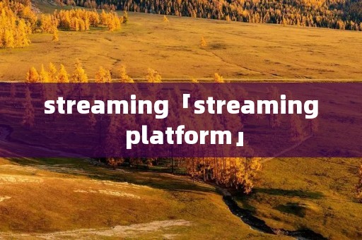 streaming「streaming platform」