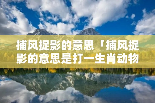 捕风捉影的意思「捕风捉影的意思是打一生肖动物」