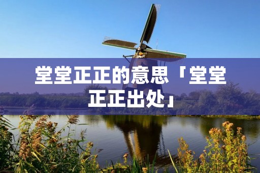 堂堂正正的意思「堂堂正正出处」