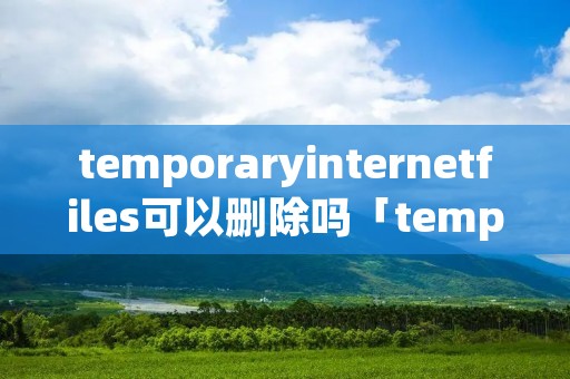 temporaryinternetfiles可以删除吗「temporary internet files文件夹可以删除吗」