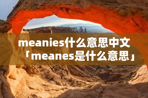 meanies什么意思中文「meanes是什么意思」