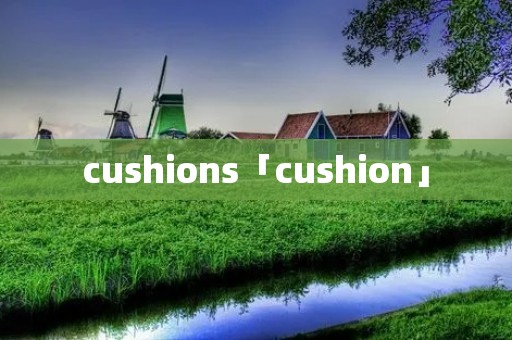 cushions「cushion」 cushions「cushion」