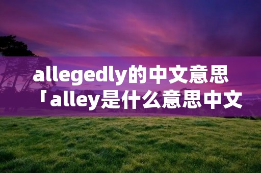 allegedly的中文意思「alley是什么意思中文翻译」