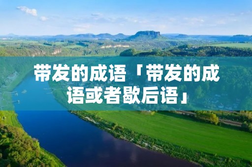 带发的成语「带发的成语或者歇后语」
