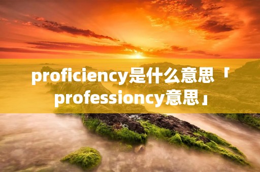 proficiency是什么意思「professioncy意思」