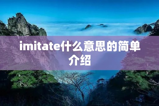 imitate什么意思的简单介绍 imitate什么意思的简单介绍