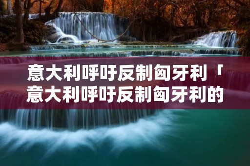 意大利呼吁反制匈牙利「意大利呼吁反制匈牙利的原因」