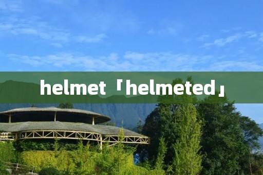 helmet「helmeted」