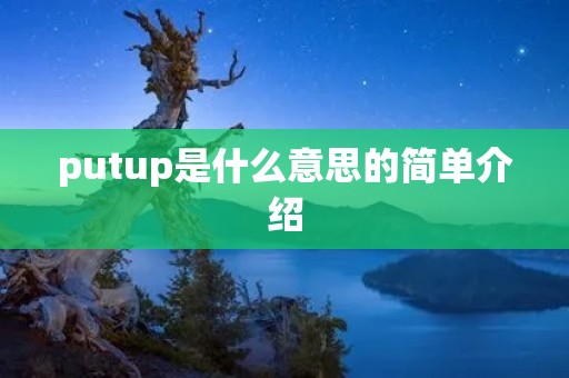 putup是什么意思的简单介绍