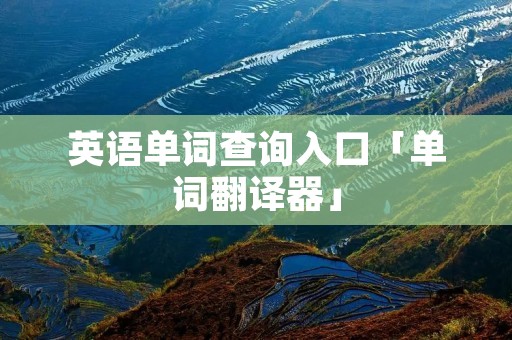 英语单词查询入口「单词翻译器」