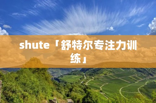 shute「舒特尔专注力训练」
