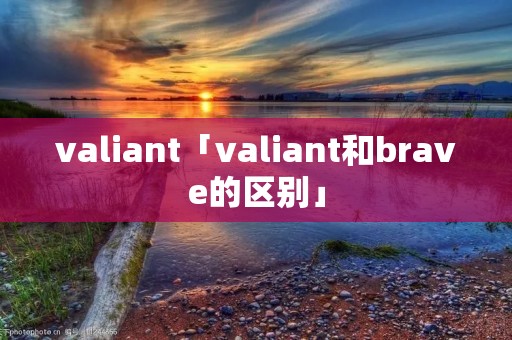 valiant「valiant和brave的区别」