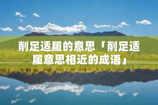 削足适履的意思「削足适履意思相近的成语」