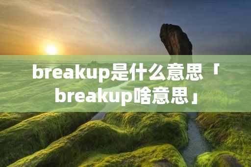 breakup是什么意思「breakup啥意思」