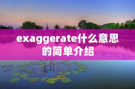 exaggerate什么意思的简单介绍