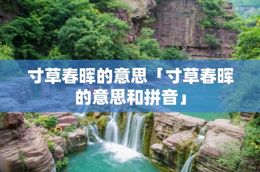寸草春晖的意思「寸草春晖的意思和拼音」