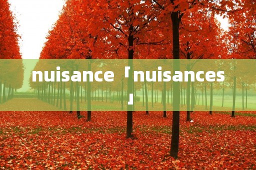 nuisance「nuisances」