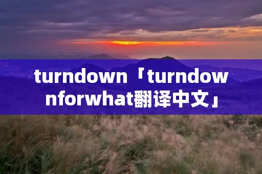 turndown「turndownforwhat翻译中文」 turndown「turndownforwhat翻译中文」