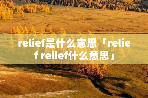 relief是什么意思「relief relief什么意思」
