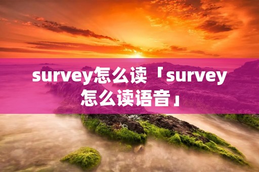 survey怎么读「survey怎么读语音」